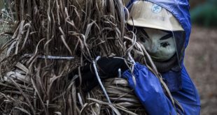 Thung lung bup be rung ron o Nhat hinh anh 8