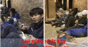 Đi lao động Nhật Bản có vất vả không Chọn việc gì lương cao 3-5 năm kiếm được bao nhiêu tiền