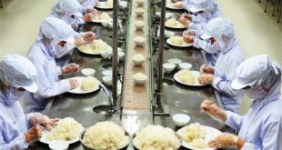 Chế biến thực phẩm - Cơm hộp ở Nhật